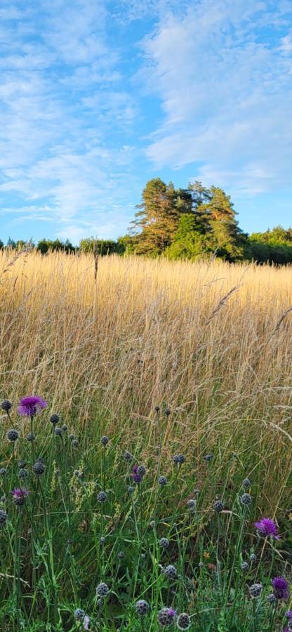 Pension Am Wald Goessweinstein Luaran gambar